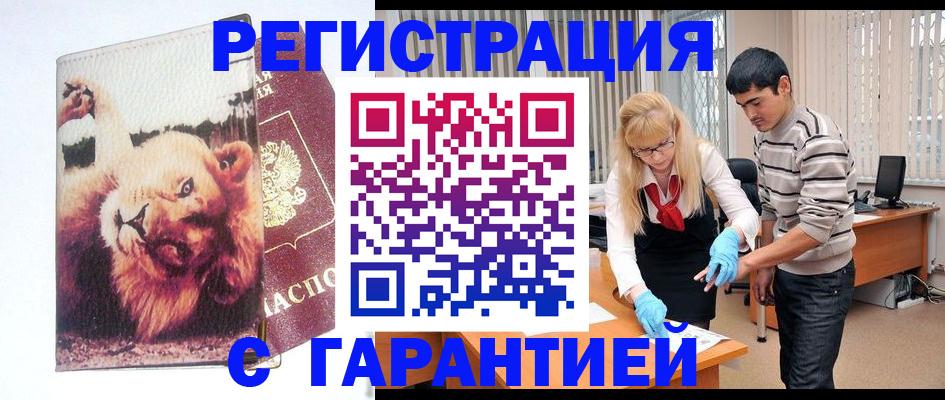 временная регистрация поиск в Щёлково